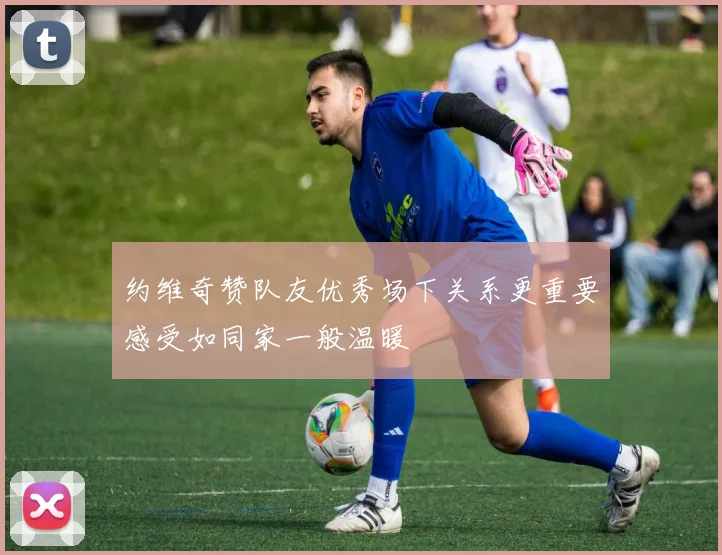 约维奇赞队友优秀场下关系更重要感受如同家一般温暖