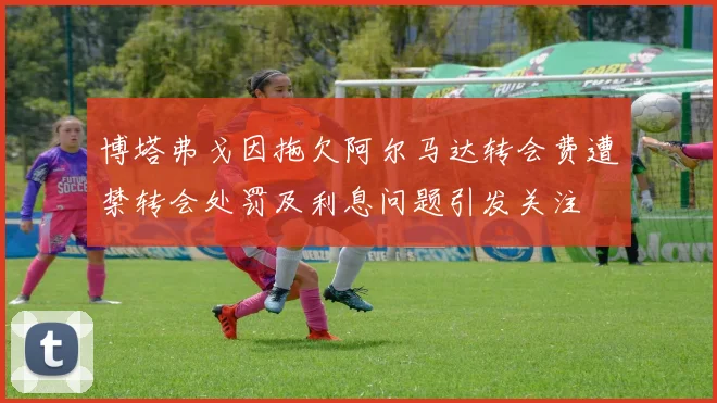 博塔弗戈因拖欠阿尔马达转会费遭禁转会处罚及利息问题引发关注
